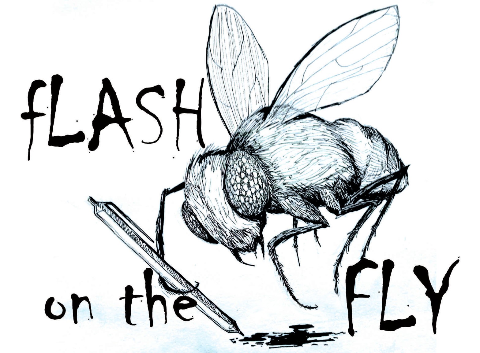 July Flash on the Fly Winning Story
