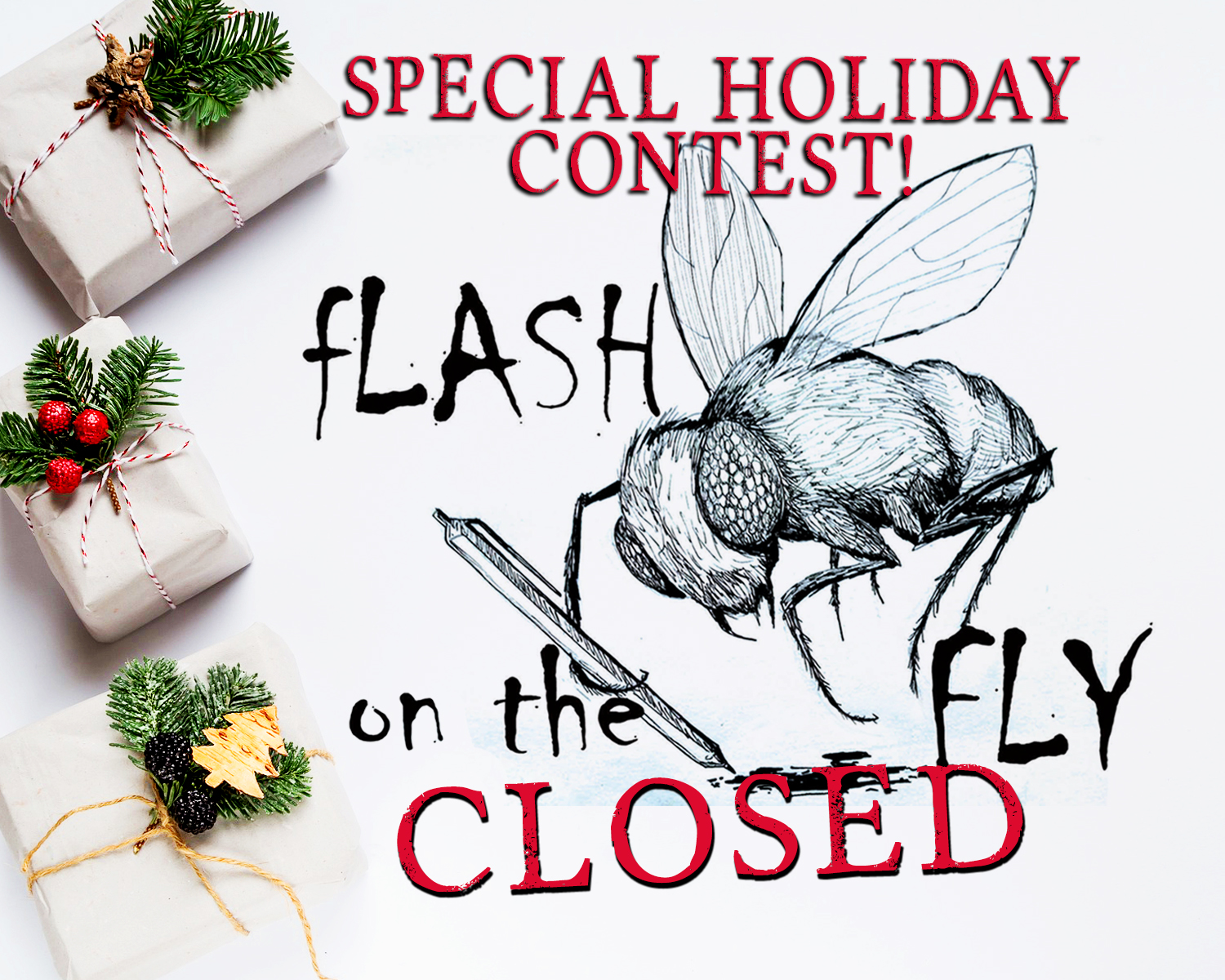 FLASH ON THE FLY SURPRISE CONTEST