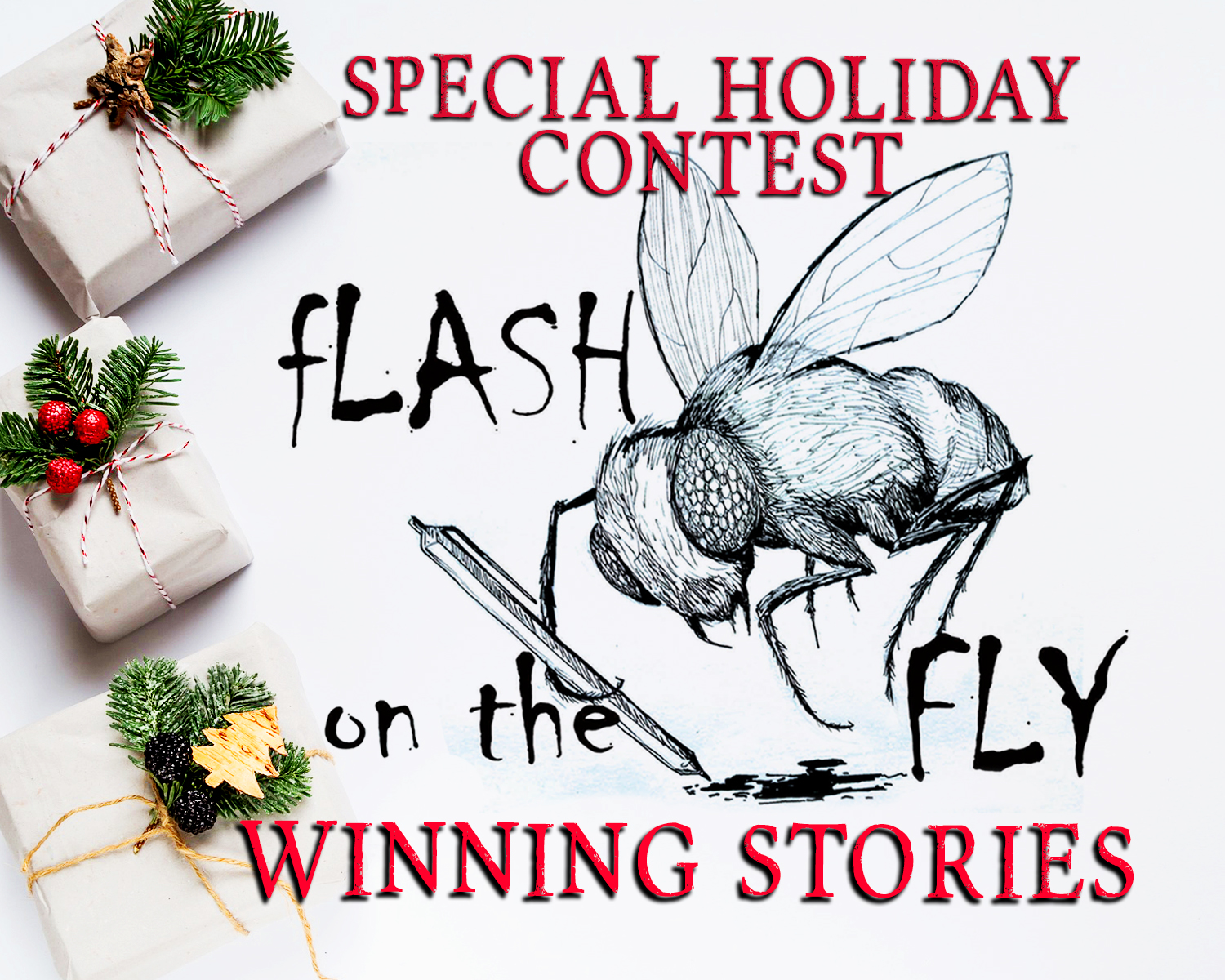 Flash on the Fly Winning Stories for December 2023